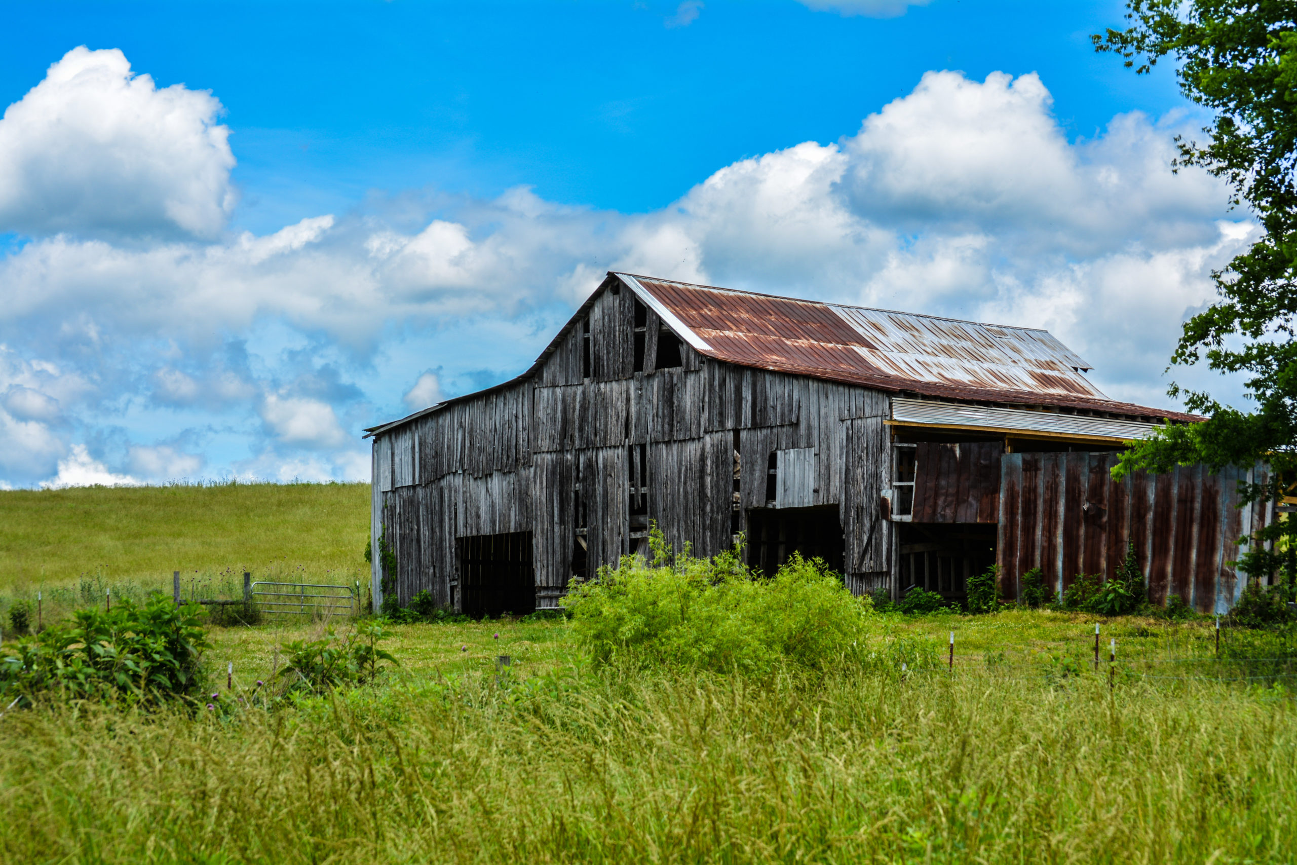 Leadership | Tennessee Association of Agricultural Agents and Specialists